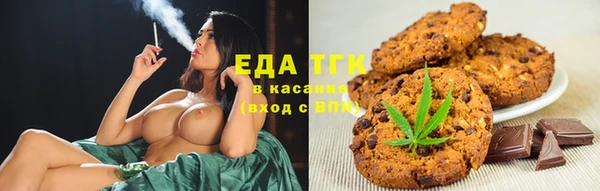 СК Зерноград