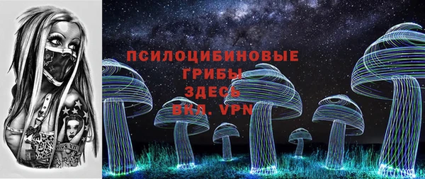 прущие грибы Заволжье
