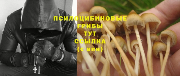 а пвп мука Заводоуковск