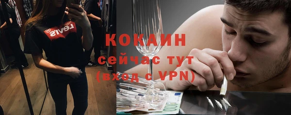 прущие грибы Заволжье
