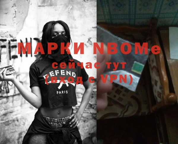 прущие грибы Заволжье