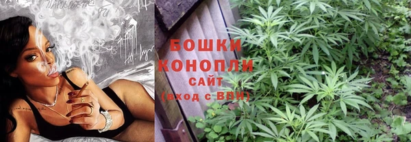 прущие грибы Заволжье