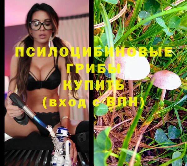 а пвп мука Заводоуковск