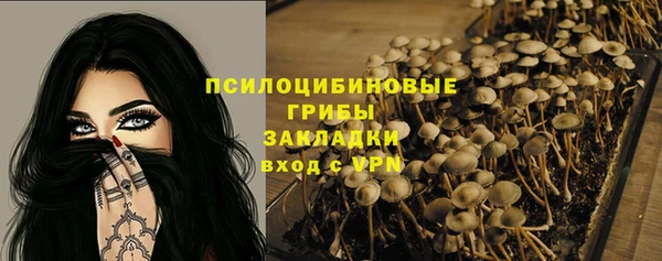 прущие грибы Заволжье