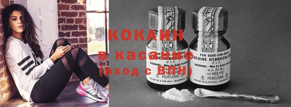 прущие грибы Заволжье