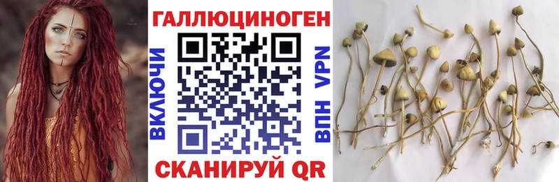 Купить  Котово  Галлюциногенные грибы ЛСД 